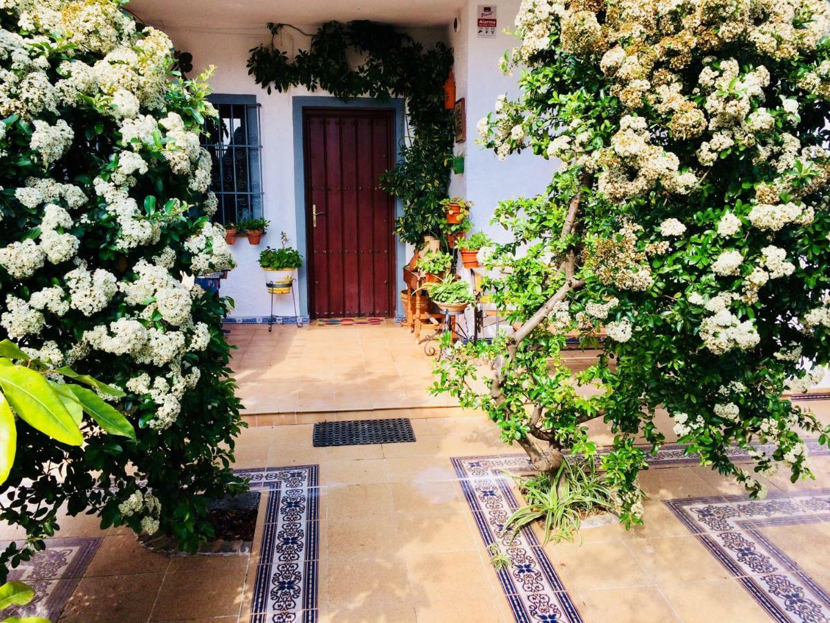 Villa Ferrer Sevilla Ginés Exterior foto